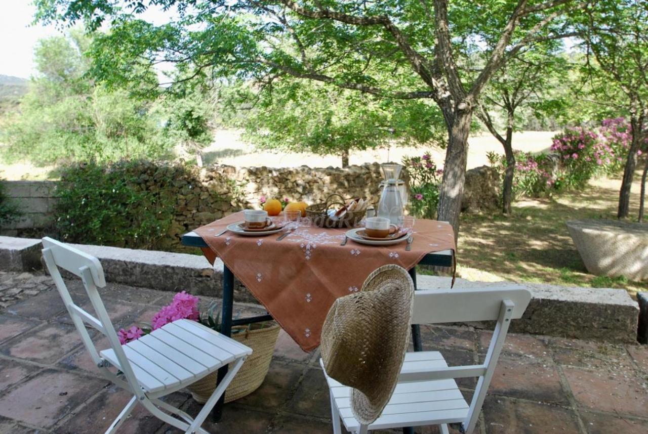 Finca La Vicaria Palomar Zufre Luaran gambar