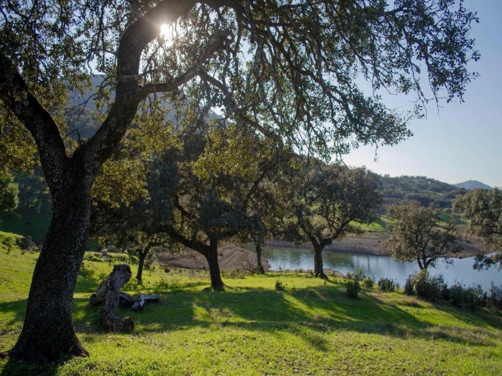 Finca La Vicaria Palomar Zufre Luaran gambar