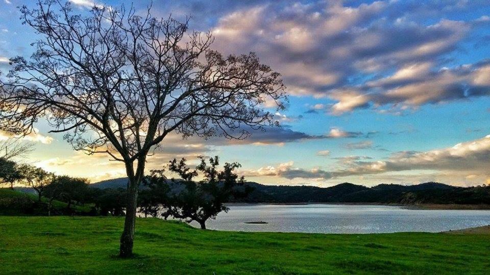 Finca La Vicaria Palomar Zufre Luaran gambar